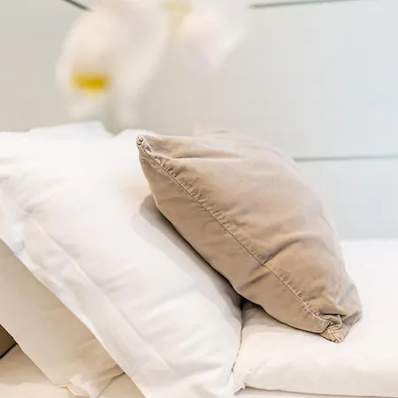 Hotel Park 4*